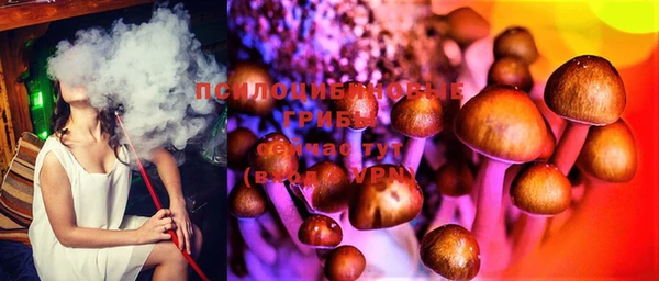 PSILOCYBIN Алексеевка