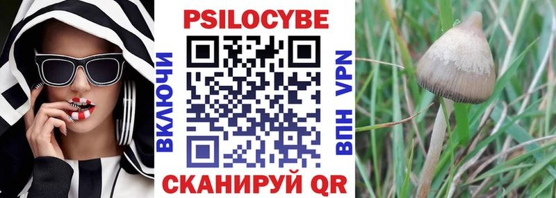 Псилоцибиновые грибы Magic Shrooms  где можно купить   Алексеевка 