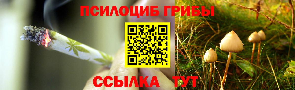 Галлюциногенные грибы Psilocybine cubensis Алексеевка